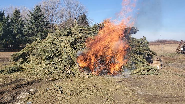 Turkey ne pilaya pure shehar ko free gaanja ?  janiye kya hai pura maamla.